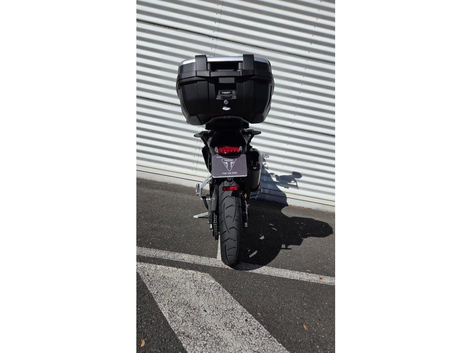 TRIUMPH Tiger 900 GT PRO