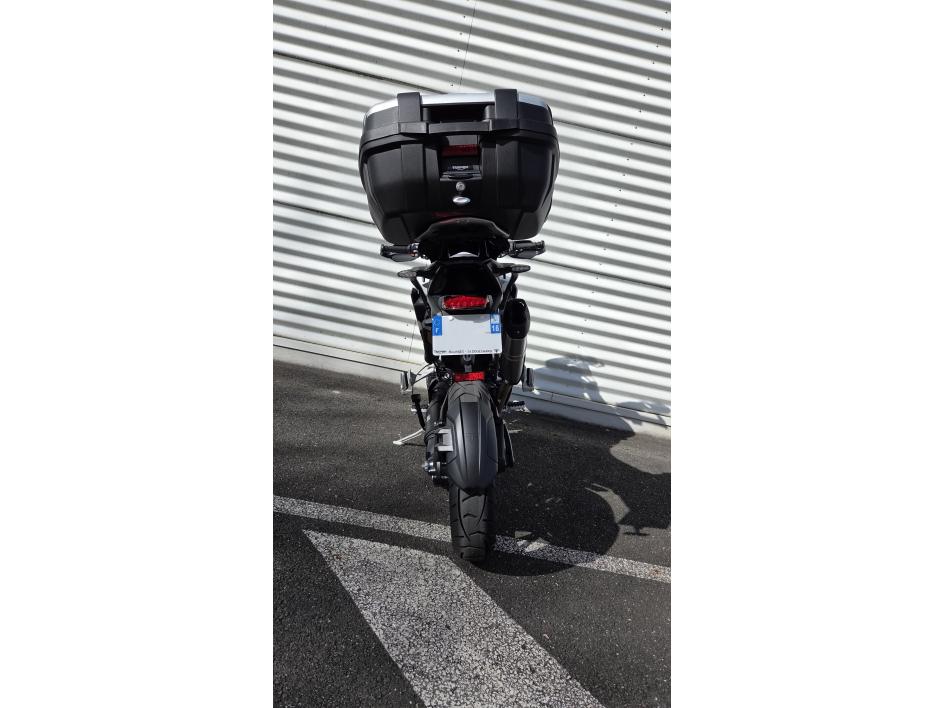 TRIUMPH TIGER 1200 GT PRO